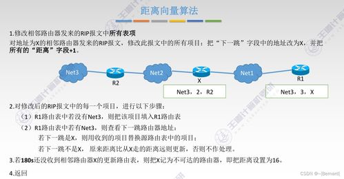 王道考研計(jì)算機(jī)網(wǎng)絡(luò)第四章知識(shí)點(diǎn)匯總 網(wǎng)絡(luò)層與核心技術(shù)開(kāi)發(fā)